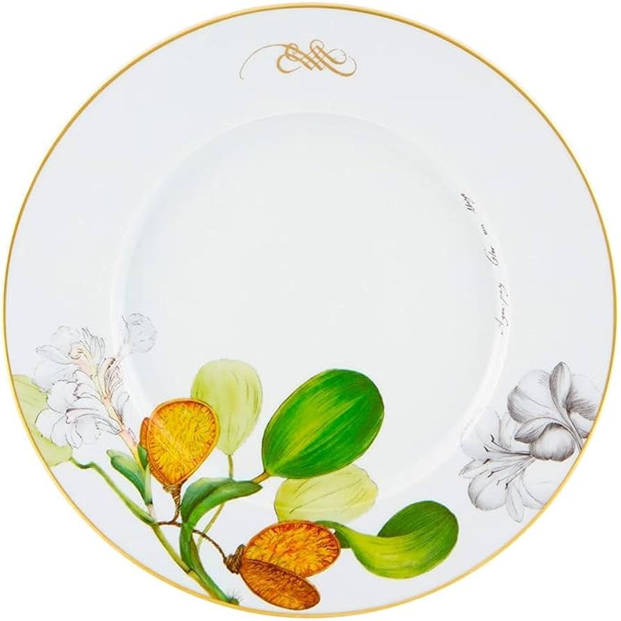 JG C/4 PRATOS RASO AMAZON