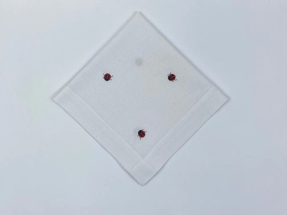 GUARDANAPO  PONTO A PONTO JOANINHA